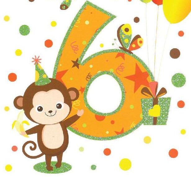 6 anni scimmietta - 8003