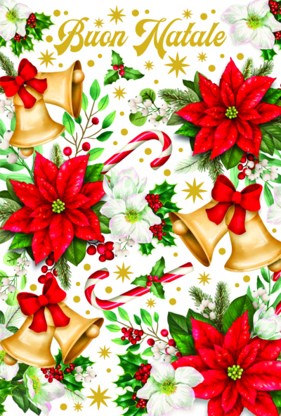 Stella di Natale - 7031