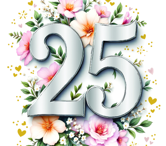 25 anniversario 3127